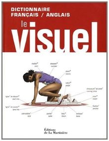 Le visuel : Dictionnaire français-anglais von Amico, Ser... | Buch | Zustand gut