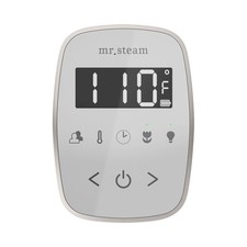 Mr Steam TempoFlex Steam Shower Control and Steamhead in White Brilliant Black