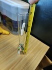 Warner Bros Pepe Le Pew & Penelope Snow Globe Wedding Flutes — photo 2