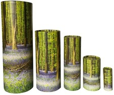 Scatter Tube For Ashes Urn Bluebell Wood  Adult Child Large Medium Small Pet