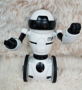 mip robot