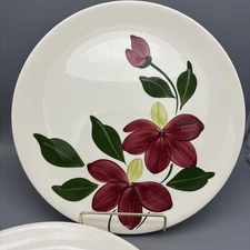 Blue Ridge Winnie Dinner Plate Set of 2 Red Flower 10.25" VTG Southern Pottery