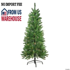 Northlight 4.5' Pre-Lit White River Fir Artificial Pencil Christmas Tree - Clear
