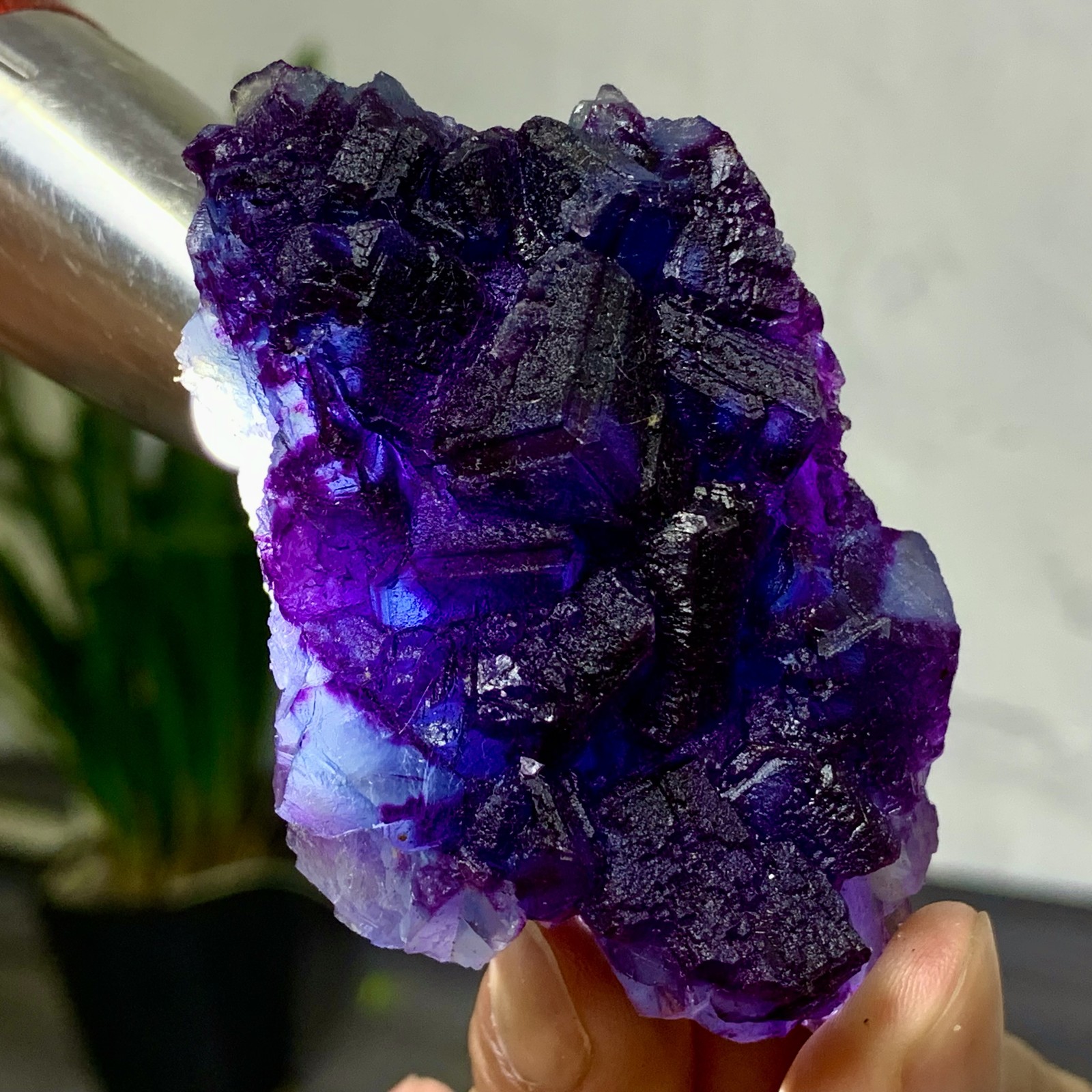 Rare 147G Purple Blue Cubic Fluorite Crystal Specimen from Zhejiang China