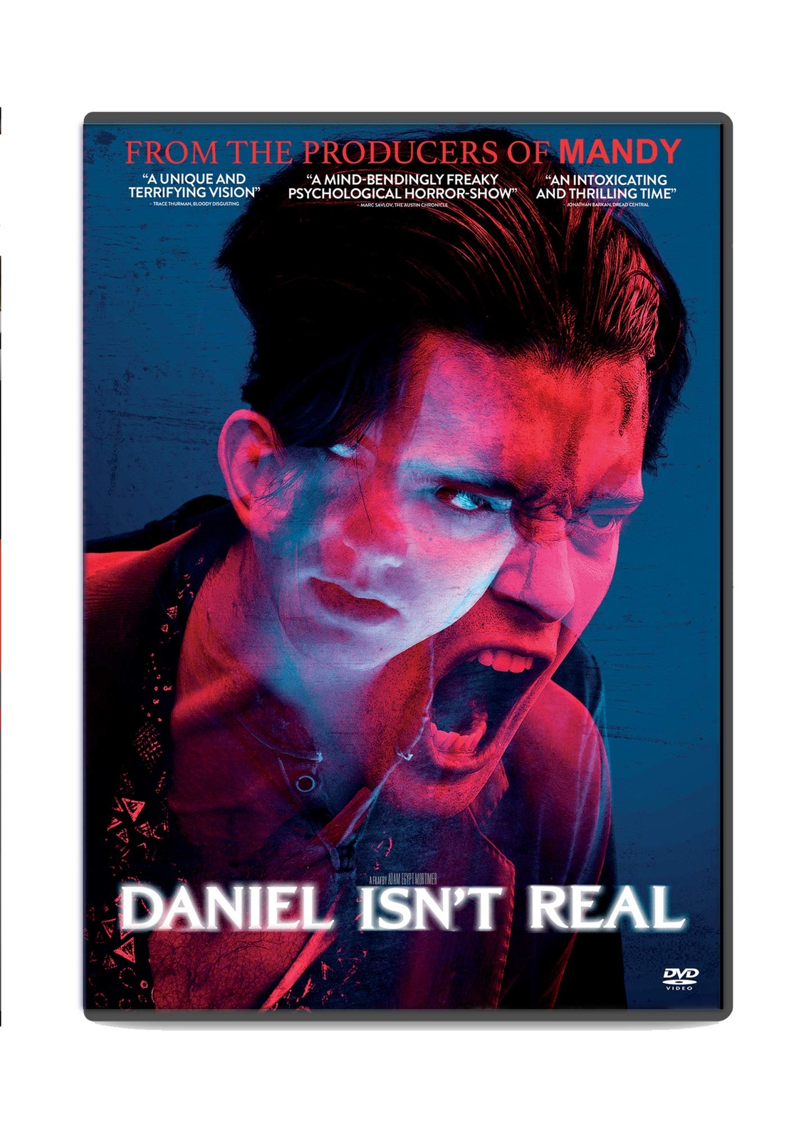 Daniel Isn't Real (DVD) Patrick Schwarzenegger Miles Robins Sasha Lane