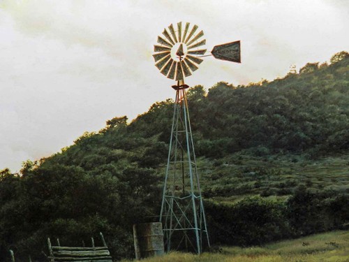 Larry Dyke Texas Landscape Hill Country Trees Windmill Pasture Signed Ltd Ed - Picture 5 of 9