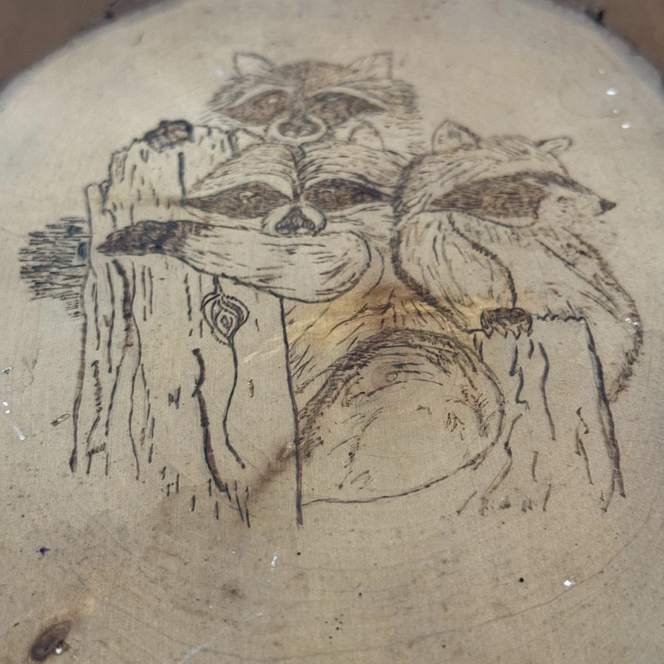 Placa colgante de pared artesanal de madera mapache decoración camping Foto 2 de 4