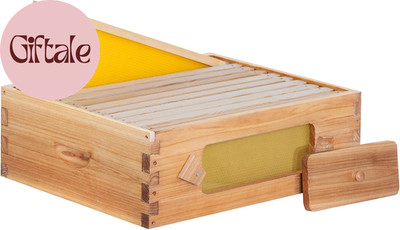 10 Frame Beehive Medium Super Box with Window, Langstroth Bee Hive Box Kit Dippe