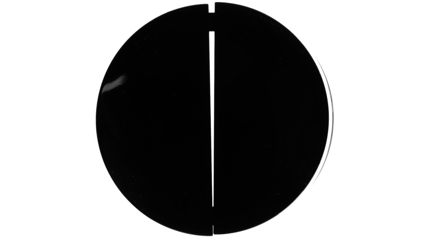 Berker R.1/R.3 Double Button for Connector Black 16232045