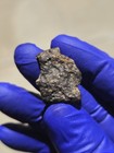 NWA 17071 CV3 Carbonaceous Chondrite 15.723g Lot w/ CAI, COA & Display Case — photo 10