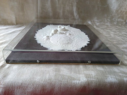 Hand Cast Ruth Rolfsen 14x11 Paper Works "Shell Collection II" Signed Orig Frame - Picture 5 of 12