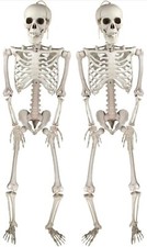 Decorazione Scheletro Per Halloween