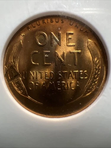 1955 S Lincoln cent Struck Thru And Delamination Obv. ANACS MS64 Red.  Free Ship