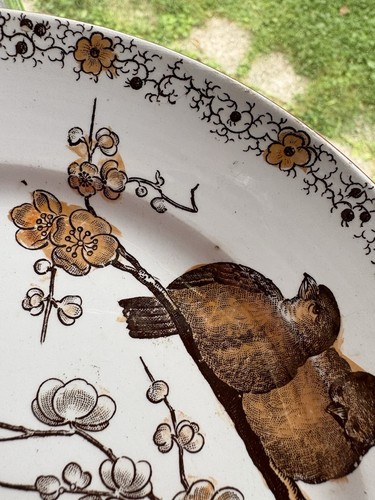 Ancienne assiette à dessert en faïence polychrome de Pexonne modèle Floride - Picture 4 of 4