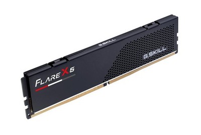 Flare X5 Series DDR5 RAM (AMD Expo) 8GB (1x8GB) 6000MT/s CL30-38-38-96 1.35V Des