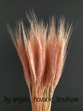 35 STIELE GETROCKNET WEIZEN/ROGGEN BLUMENSTRAUSS ARRANGIEREN GEBRAUCHSFERTIG ROSA 12 ZOLL