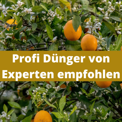 dünger für hanf Neudorff Azet Growdünger / Cannabis Dünger für alle Wachstumsphasen –  Neudorff Shop main image 1