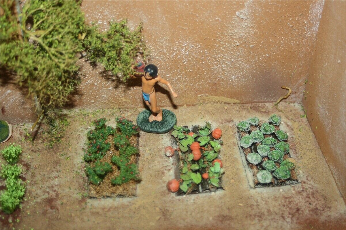 Picture 12 of 12