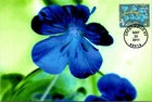 Dr Jim Stamps 2011 Garden Of Love Blue Hearts First Day Issue Photo Paper Card