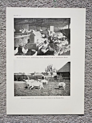 Welwyn Garden City: Agricultural Guild - Antique Print - 1925