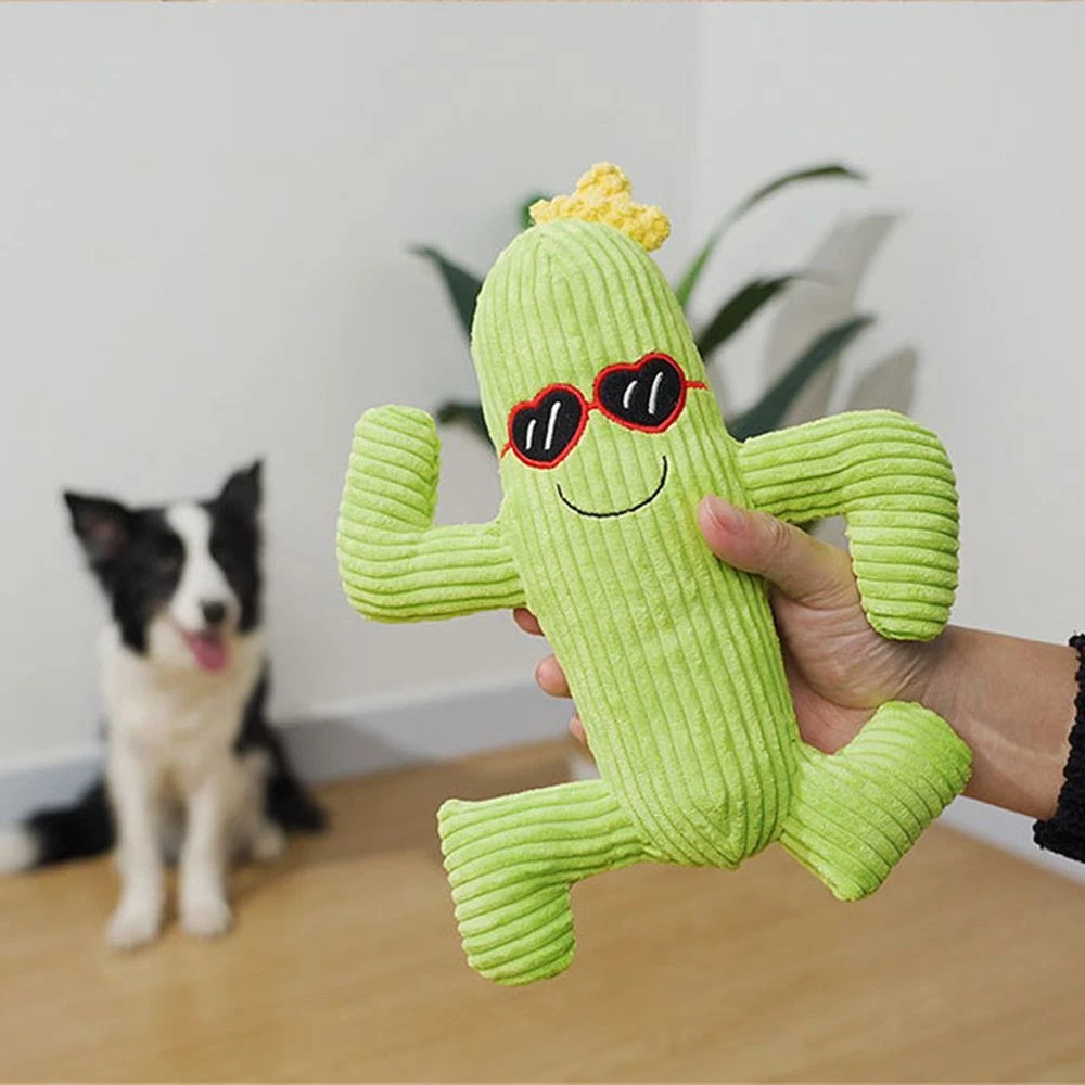 Cactus hotsell chew toy
