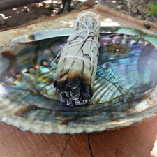 Kit per la purificazione con salvia bianca, palosanto e conchiglia di Abalone