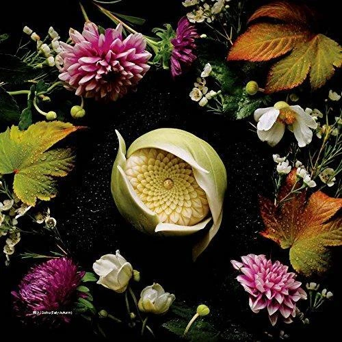 KADO - Nuevo arte de Wagashi - versión francesa/japonesa - Imagen 4 de 4