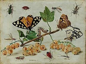 Bernard Buffet insectos Art Prints