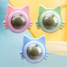 2X Pet Catnip Ball Cats Wall Toys Healthy Natural Cleaning Teeth for Cats Lick