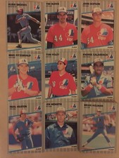 1989 Fleer Montreal Expos Complete Team Set!  Randy Johnson Rookie