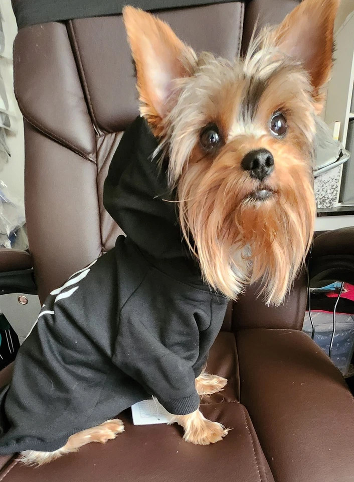 Sudadera con Capucha para Perro Diseño Perrito Negra Ajuste Flexible Talla Mediana-Grande- XXLarge Foto 4 de 4