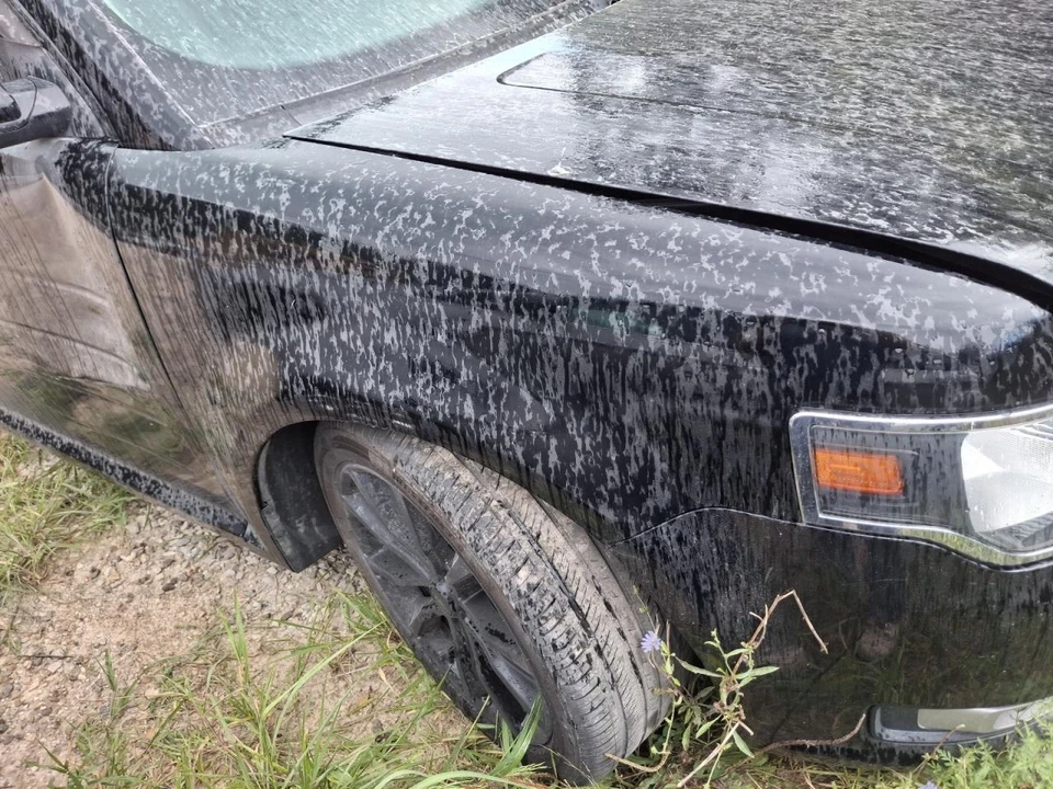 Rueda 20x8 Aluminio 10 Radios Pintado Negro Se Adapta 16-19 FLEX 3662103 Foto 4 de 4