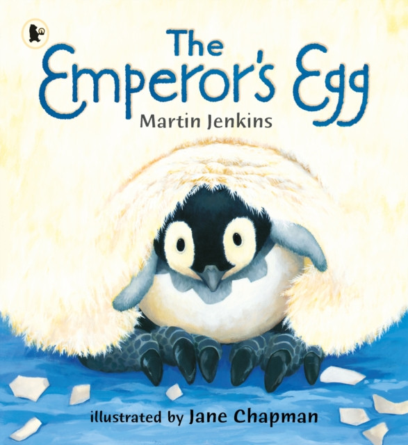 The Emperor's Egg by Martin Jenkins (Paperback Book)