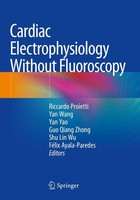 Riccardo Proietti (U. A.) | Cardiac Electrophysiology Without Fluoroscopy | Buch