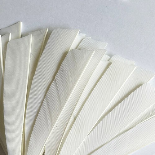 4" 5" White Natural Turkey Arrow Archery Feathers Shield Fletching Bow Arrow DIY - Picture 2 of 14