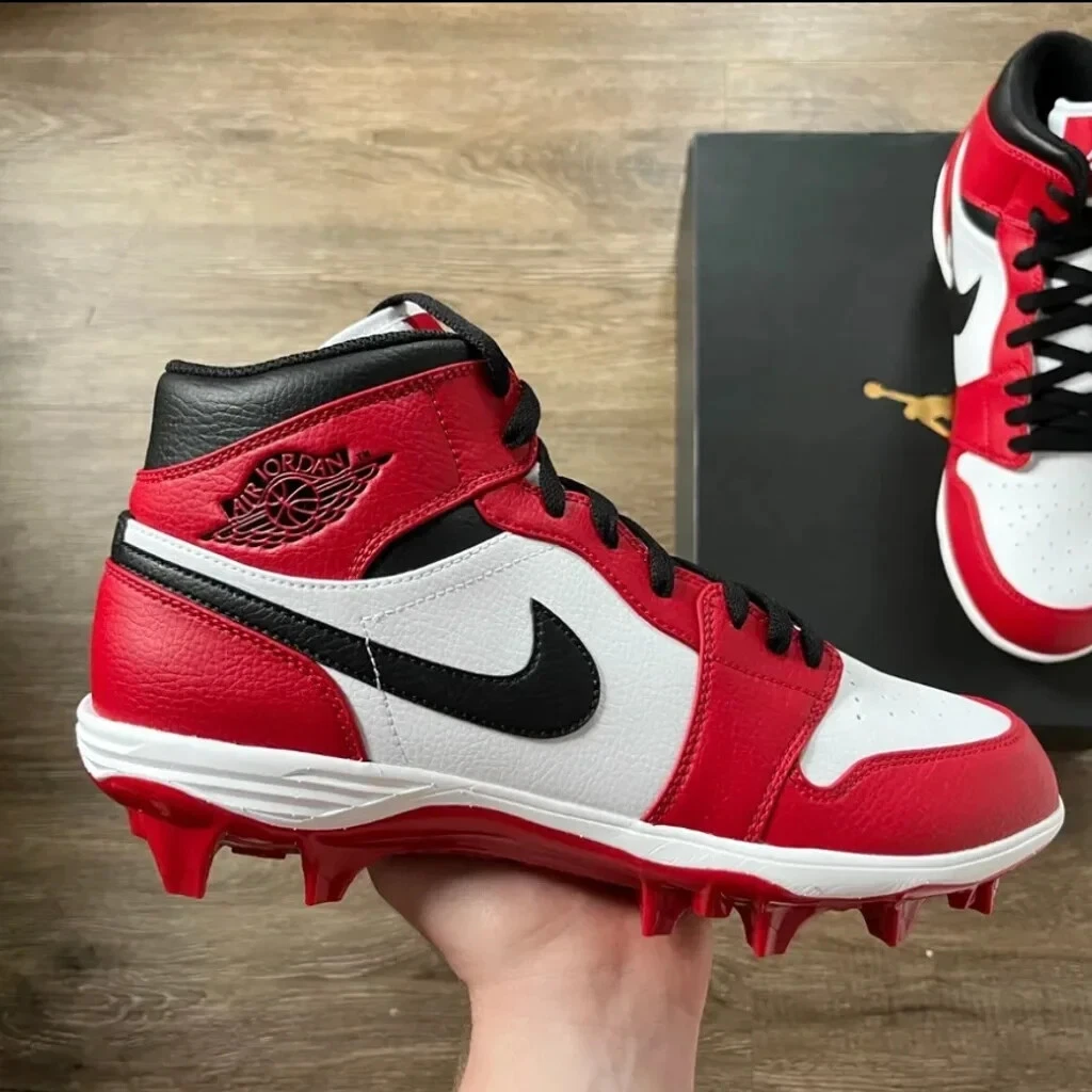 Jordan 1 alpha chicago sale