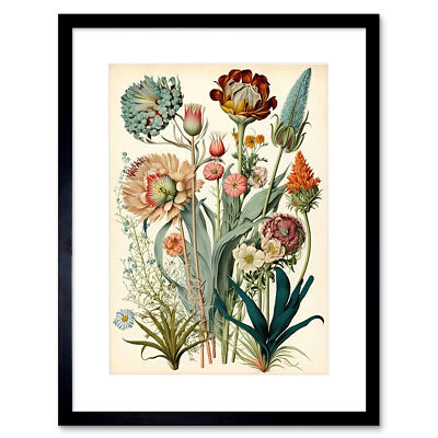 Haeckel inspiriert Vintage botanische Pflanze Studie gerahmter Kunstdruck Bild 9 x 7 Zoll
