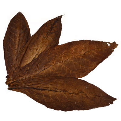 Kentucky Fire Cured Smoked Tabakblätter Rohtabak 8kg