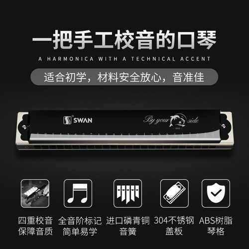 Custom Name Harmonica 24 Holes Tremolo Harmonica Key of C for Musicians Blue - Picture 4 of 12