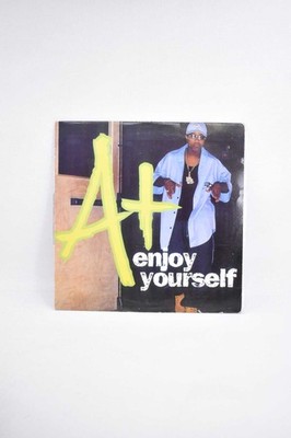 Schallplatte 33 Umdrehungen A+ Enjoy Yourself