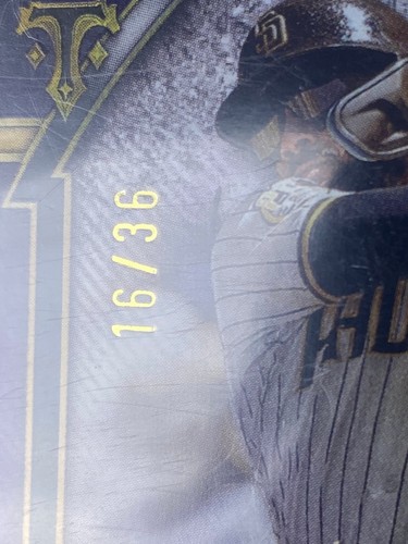2024 Topps Triple Threads Fernando Tatis Jr. ametista singola reliquia jumbo /36 - Foto 2 di 3
