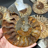 TOP 200G+ Natural Quartz Crystal Mineral Specimen Reiki Healing Care Home Decor 9