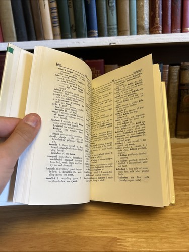 Albanian-English, English-Albanian Dictionary By Nelo Drizari HCDJ 1957 Enlarged - Picture 15 of 17
