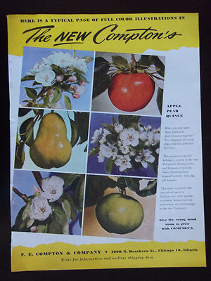 1946 The New Compton's Fruit & Blossoms Advertisement F. E. Compton ...