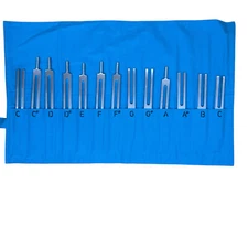Set of 13 Silver Tuning Forks Healing SCISOCO Sound Healing Therapy!