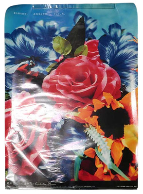 Mika Ninagawa '' Everlasting Flowers '' 2006 Offsetdruck Ausstellungsplakat