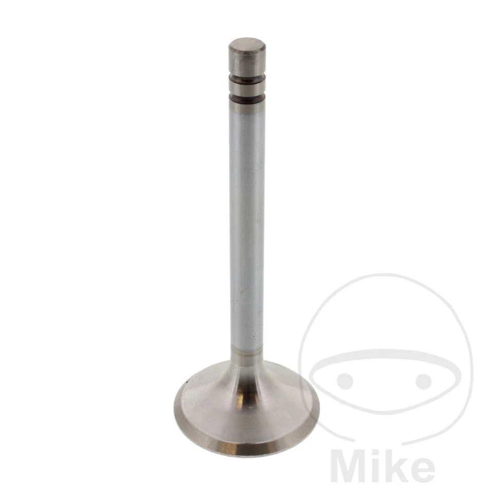 Soupape de sortie pour BMW R 27 R 50 /2 R 60 /2 - Photo 1/1
