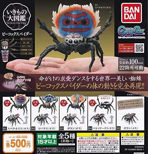 BANDAI Peacock Spider All 5 set Gashapon capsule toys