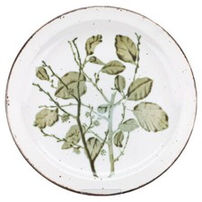 Speiseteller Midwinter Stonehenge Green Leaves