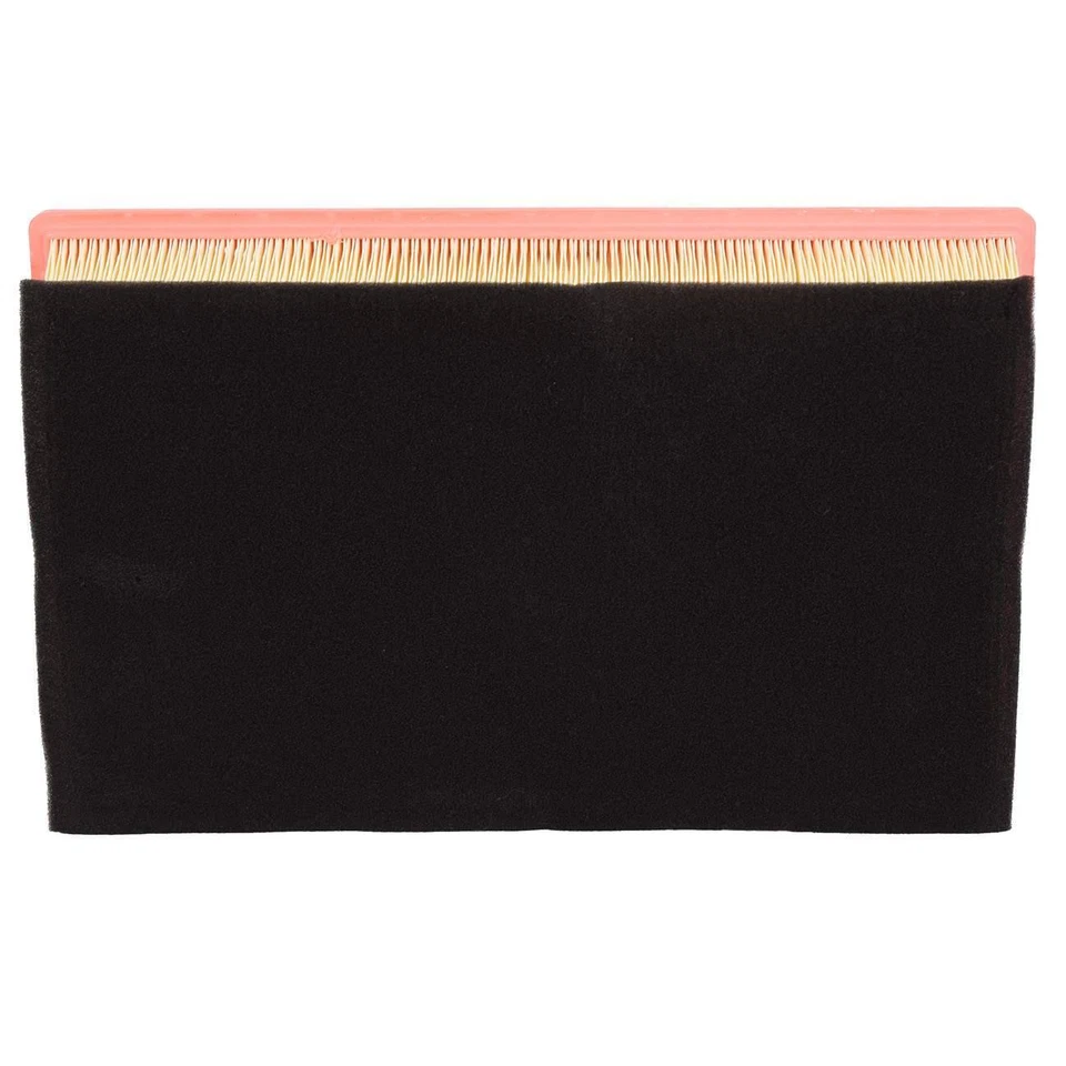 Filtro de aire del motor para BMW E66 745i 745Li 750Li 760i 760Li C301531 13717505007 Foto 4 de 4